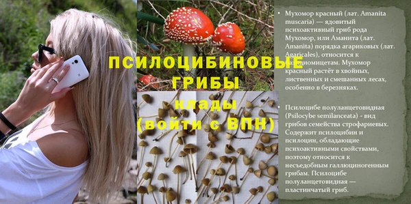 2c-b Новозыбков