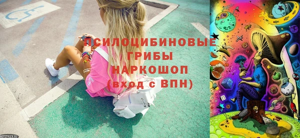 2c-b Новозыбков