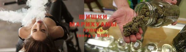 2c-b Новозыбков