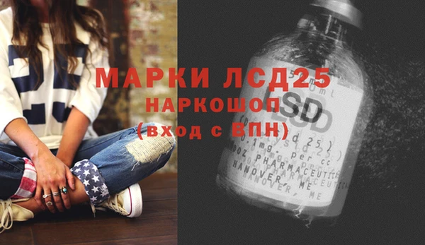 индика Нефтекумск