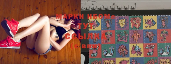 2c-b Новозыбков