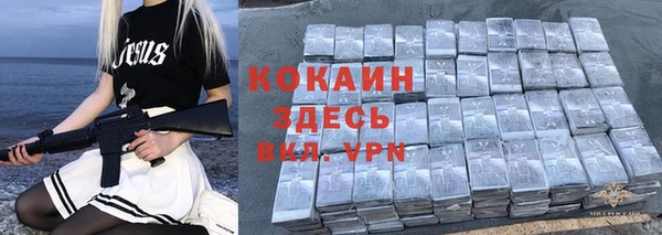 2c-b Новозыбков