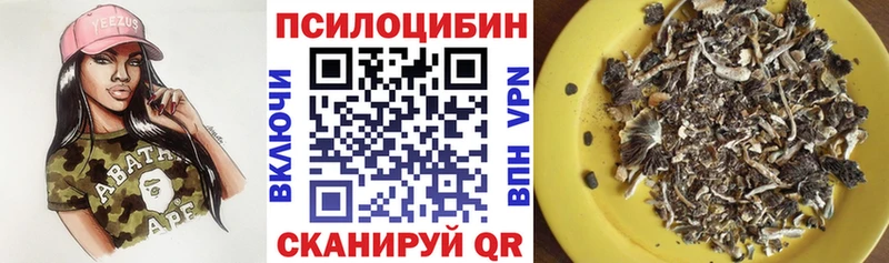 Псилоцибиновые грибы Cubensis  Правдинск 